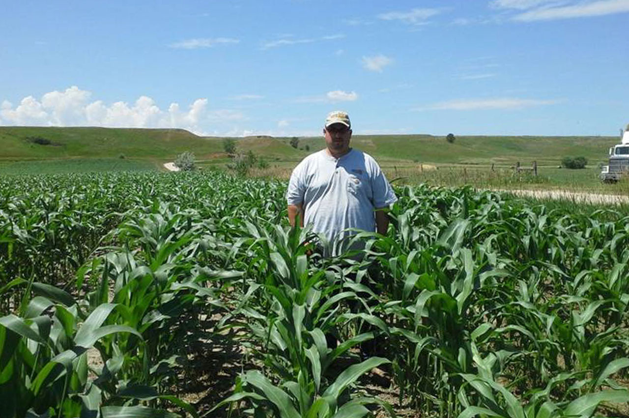 Hail Damage Dean Untreated